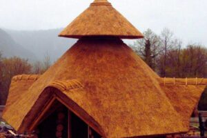 Reetdach