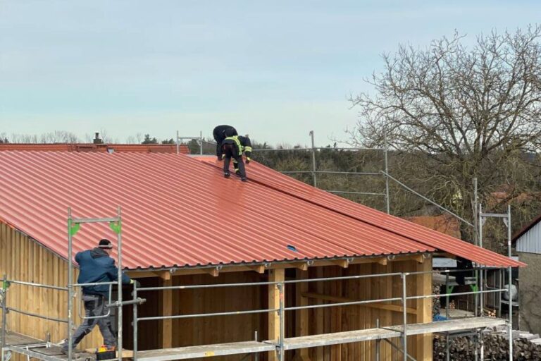 trapezblech dach neu